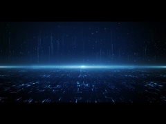 007 Одиночная группа